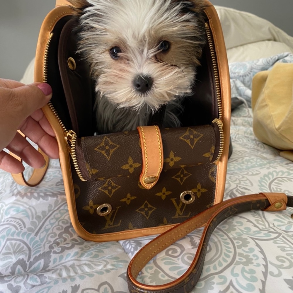 Louis Vuitton Baxter PM